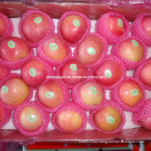 Fresco Qinguan Apple Red Apple